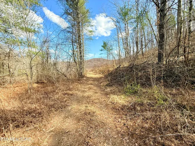 $370,000 | Skull Creek Road, Robbins, TN 37852
