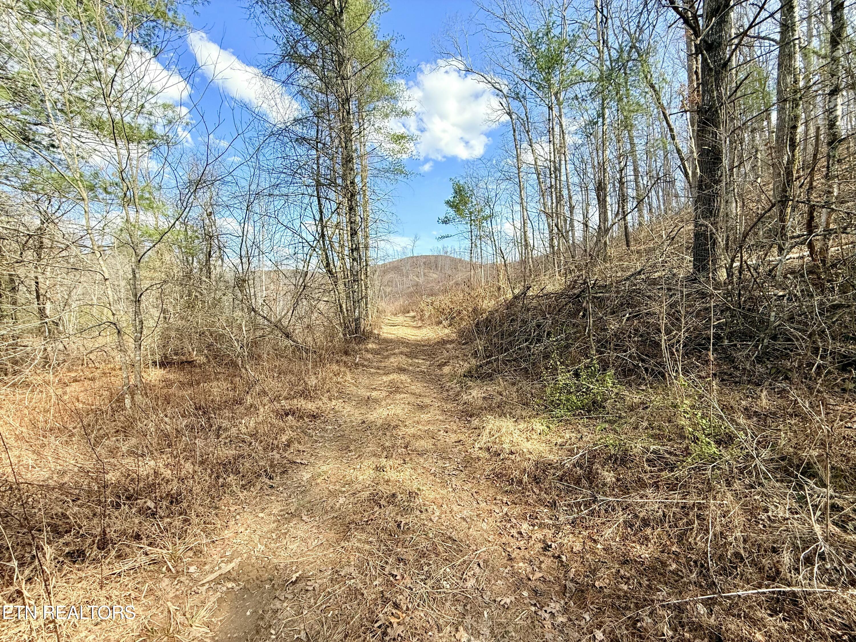 Skull Creek Road Robbins, TN 37852 - Photo 53 of 60 tempImageR6YmJa