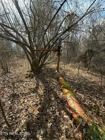 $370,000 | Skull Creek Road, Robbins, TN 37852