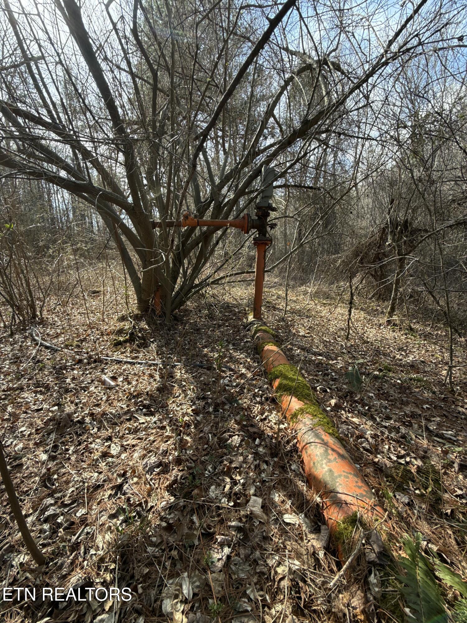 Skull Creek Road Robbins, TN 37852 - Photo 54 of 60 tempImagepR5fDh