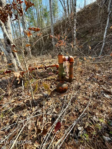 $370,000 | Skull Creek Road, Robbins, TN 37852