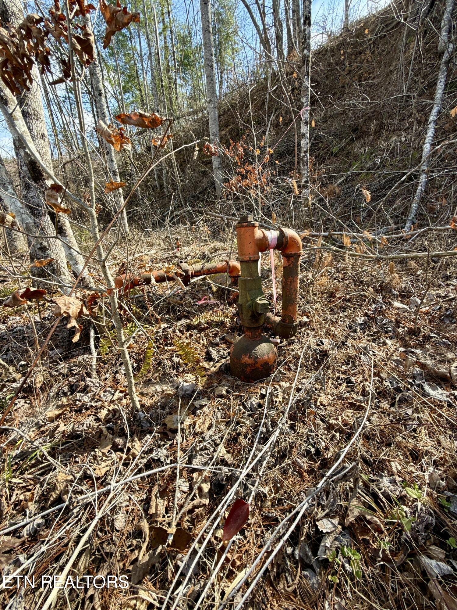 Skull Creek Road Robbins, TN 37852 - Photo 55 of 60 tempImagePG7kxA