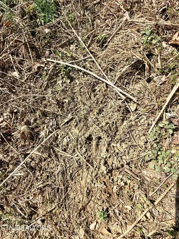 $370,000 | Skull Creek Road, Robbins, TN 37852