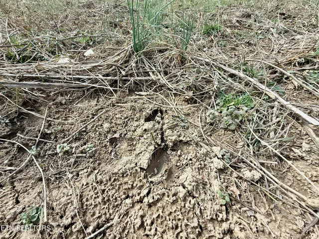 $370,000 | Skull Creek Road, Robbins, TN 37852