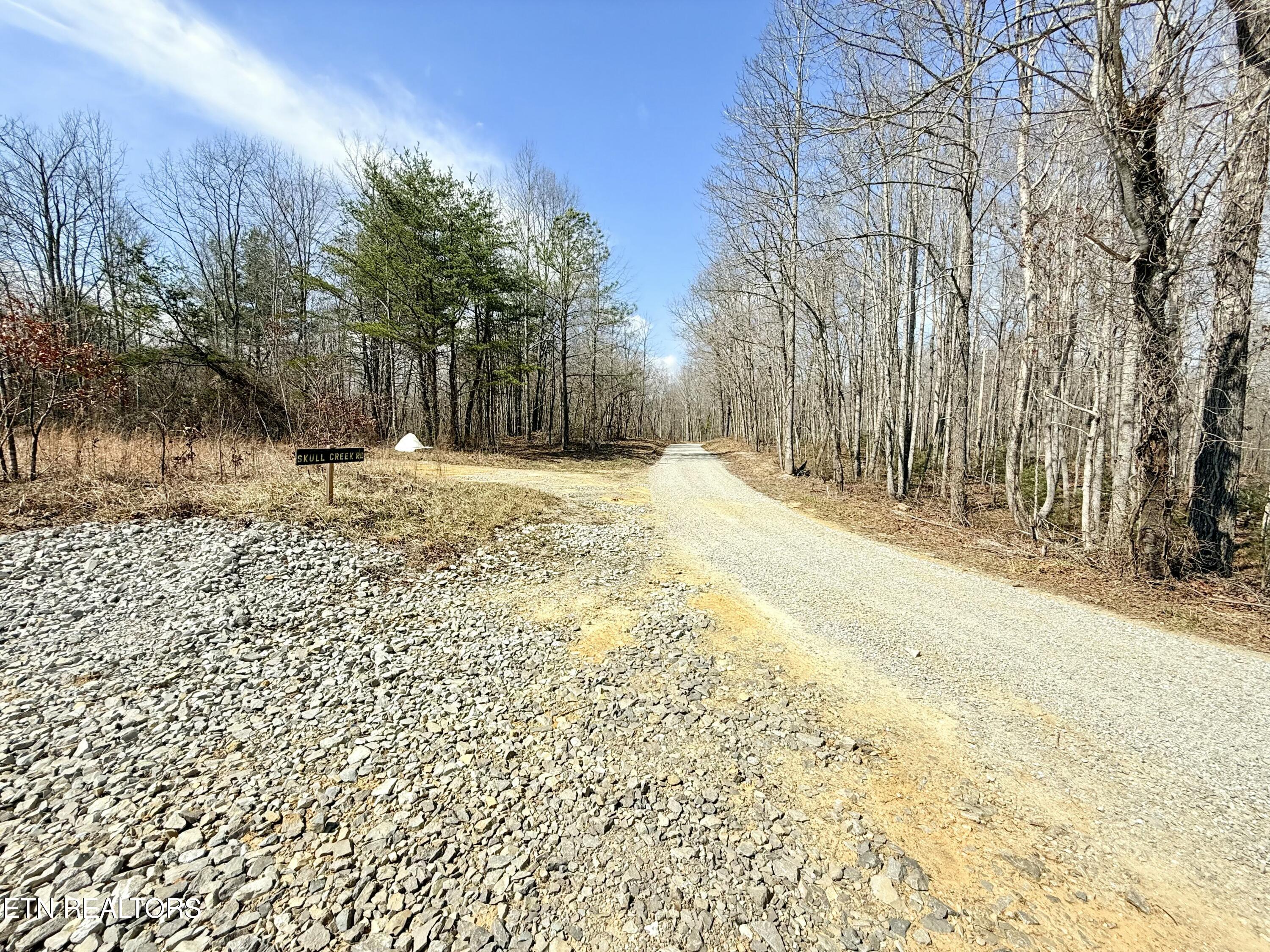 Skull Creek Road Robbins, TN 37852 - Photo 58 of 60 tempImage4Sojoc