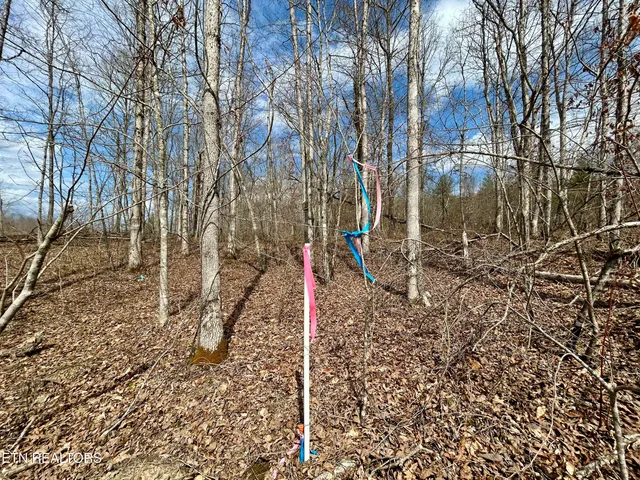 $370,000 | Skull Creek Road, Robbins, TN 37852