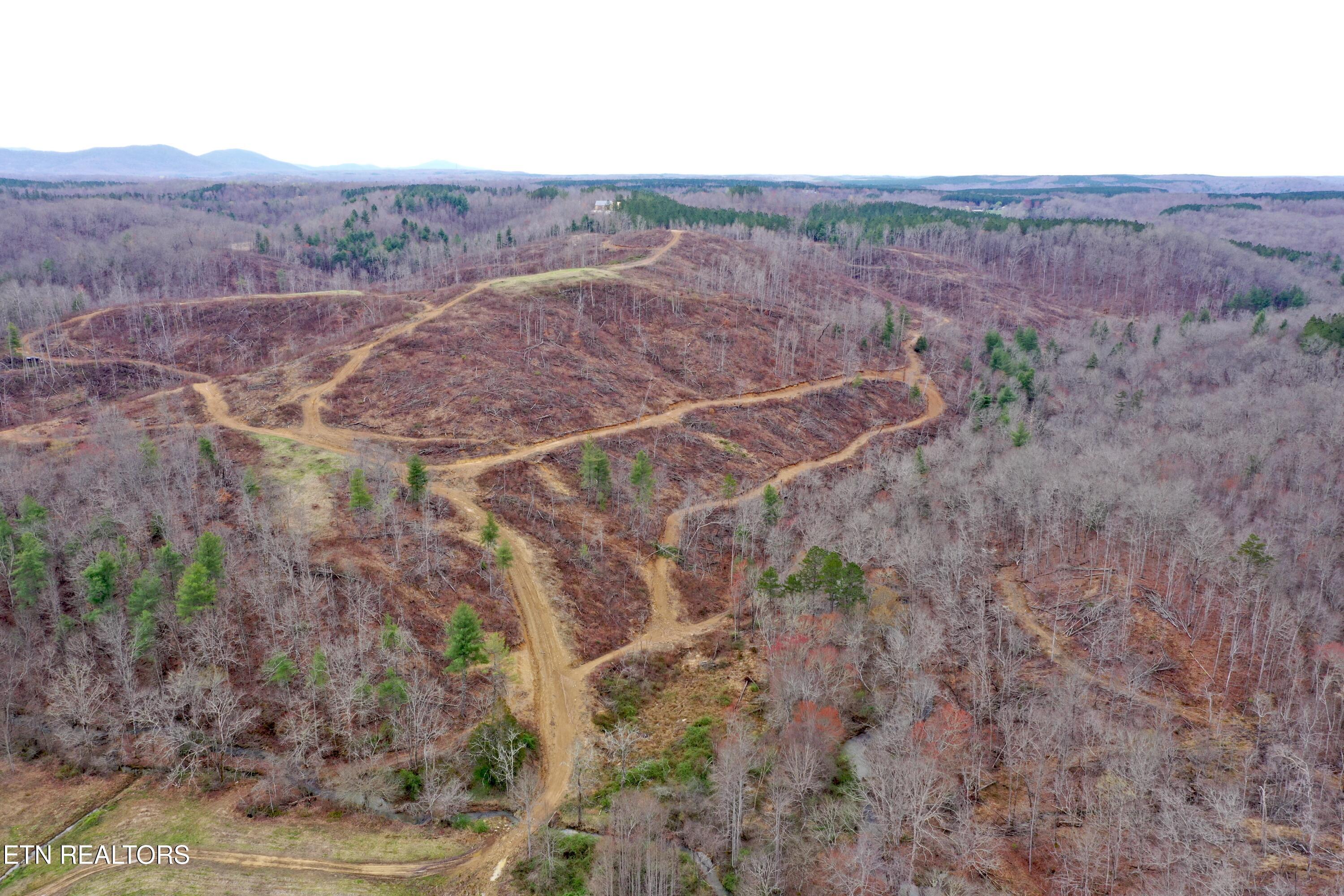 Skull Creek Road Robbins, TN 37852 - Photo 6 of 60 DJI_0431