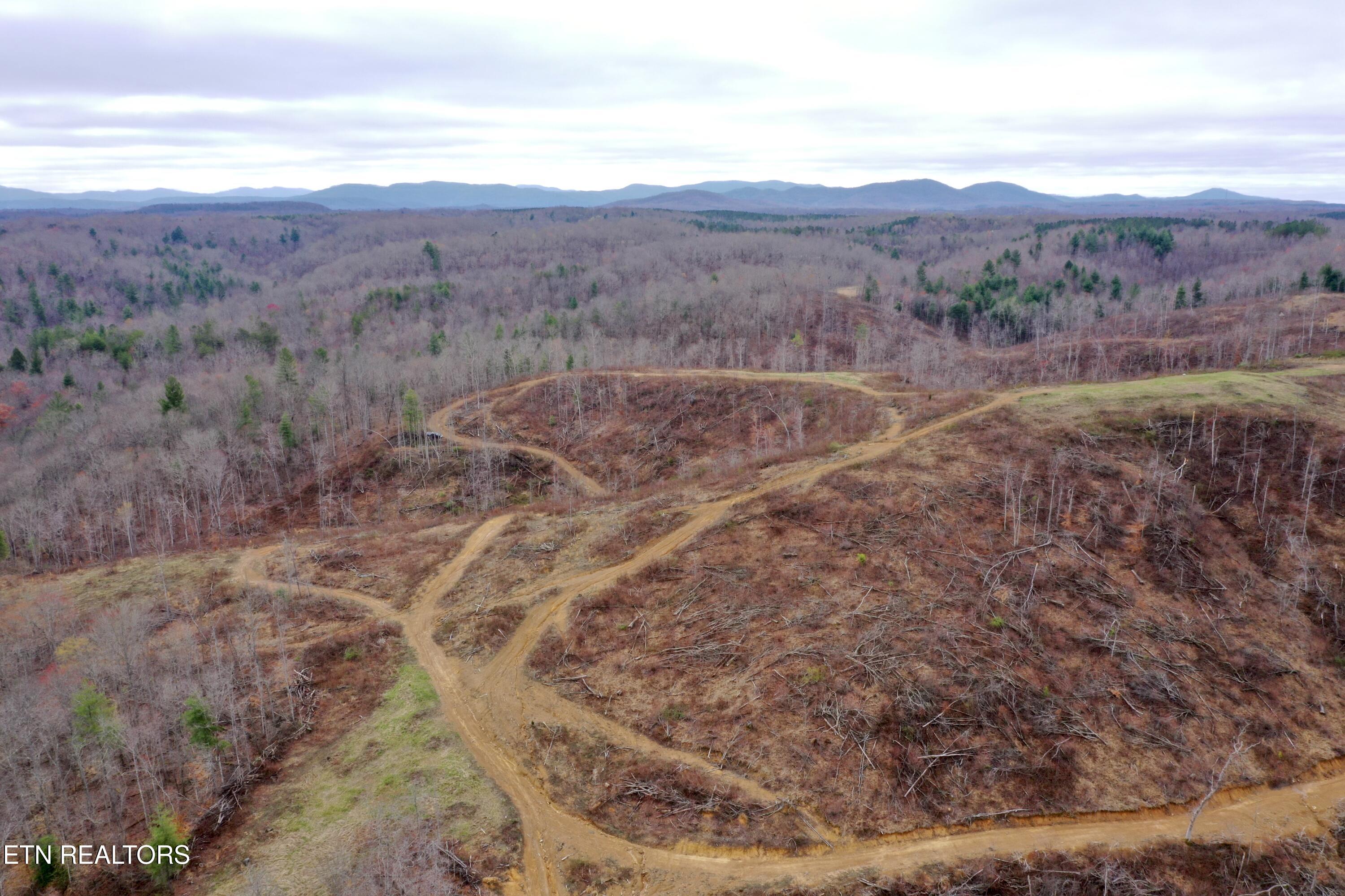 Skull Creek Road Robbins, TN 37852 - Photo 7 of 60 DJI_0436