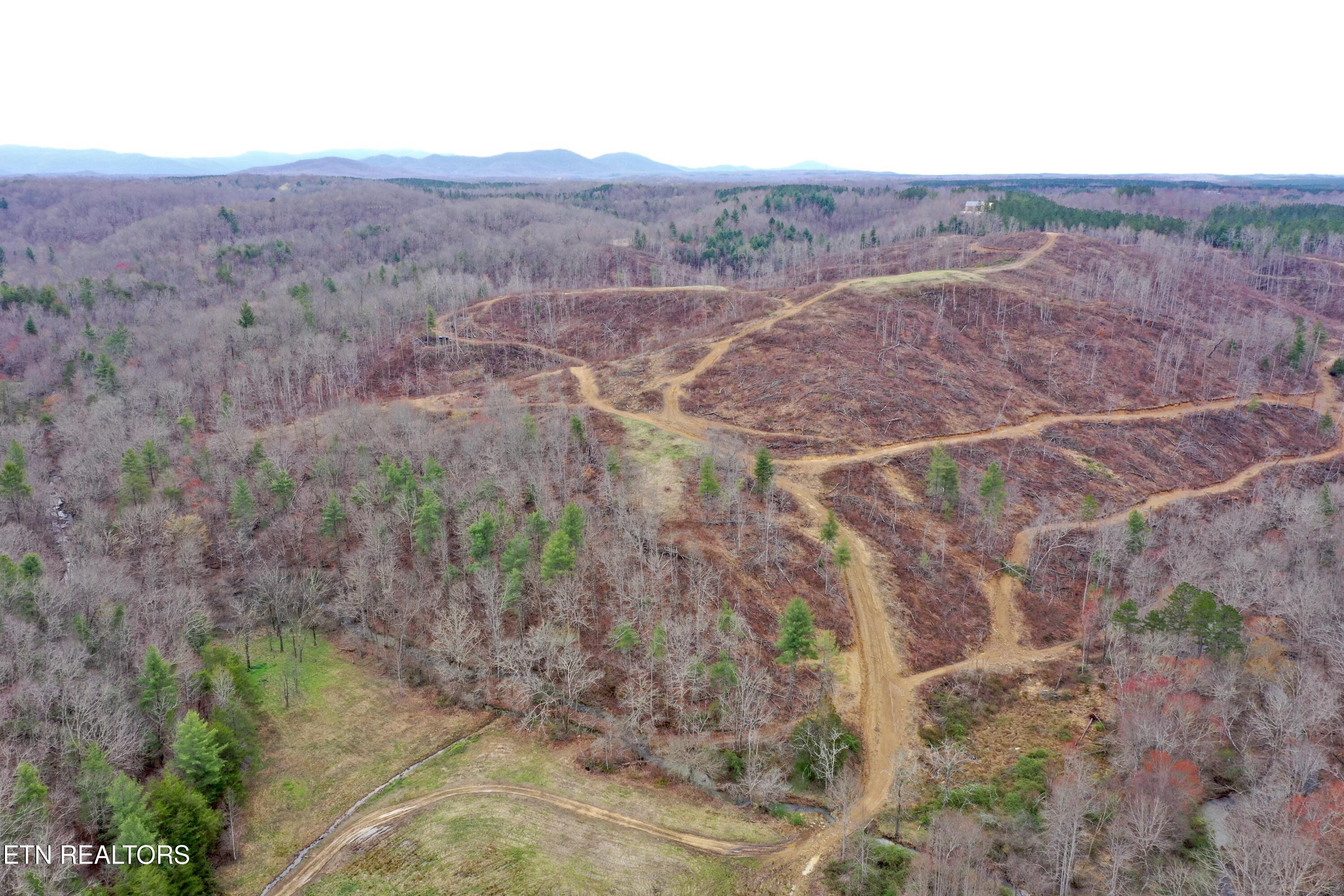 Skull Creek Road Robbins, TN 37852 - Photo 8 of 60 DJI_0432