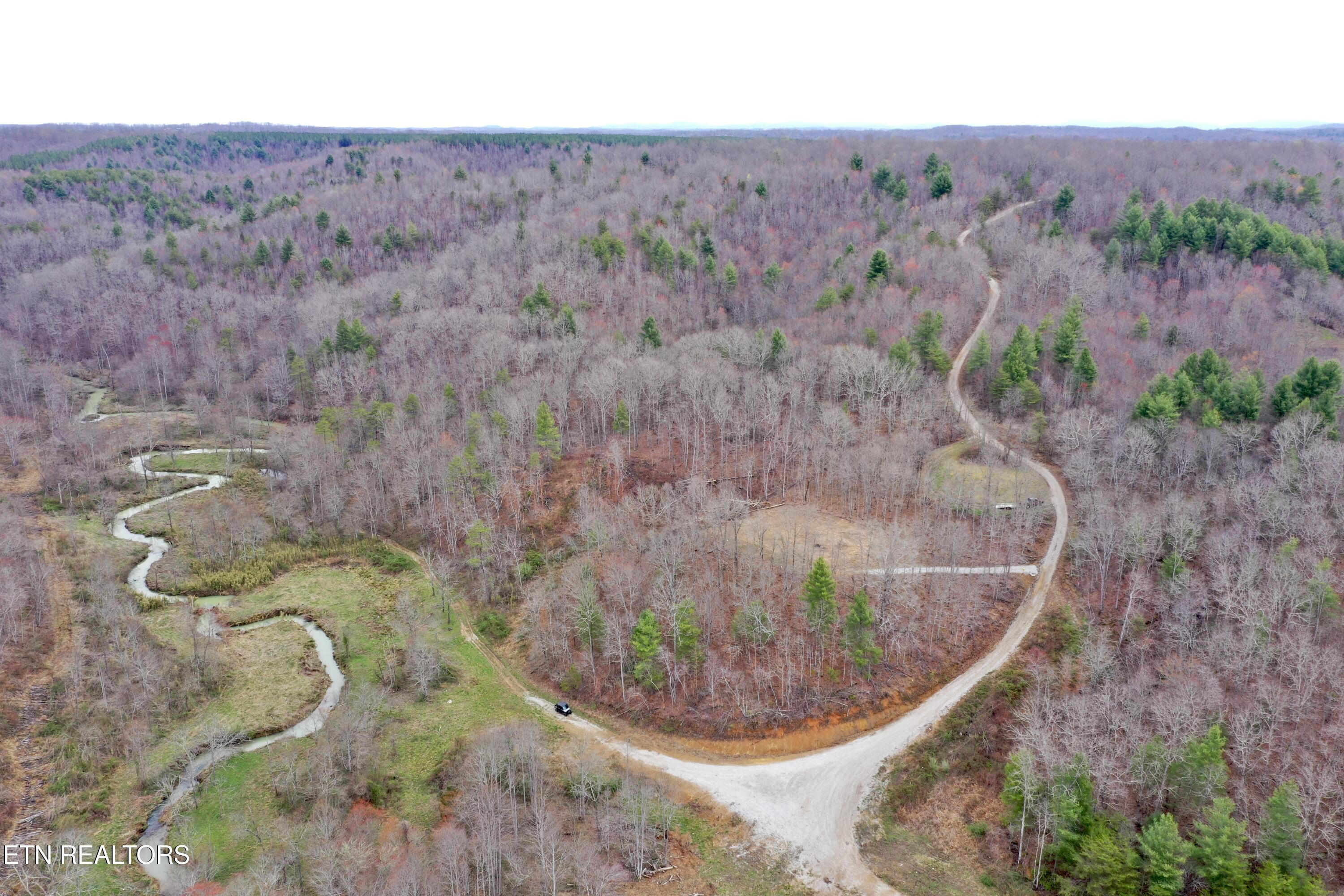 Skull Creek Road Robbins, TN 37852 - Photo 9 of 60 DJI_0433
