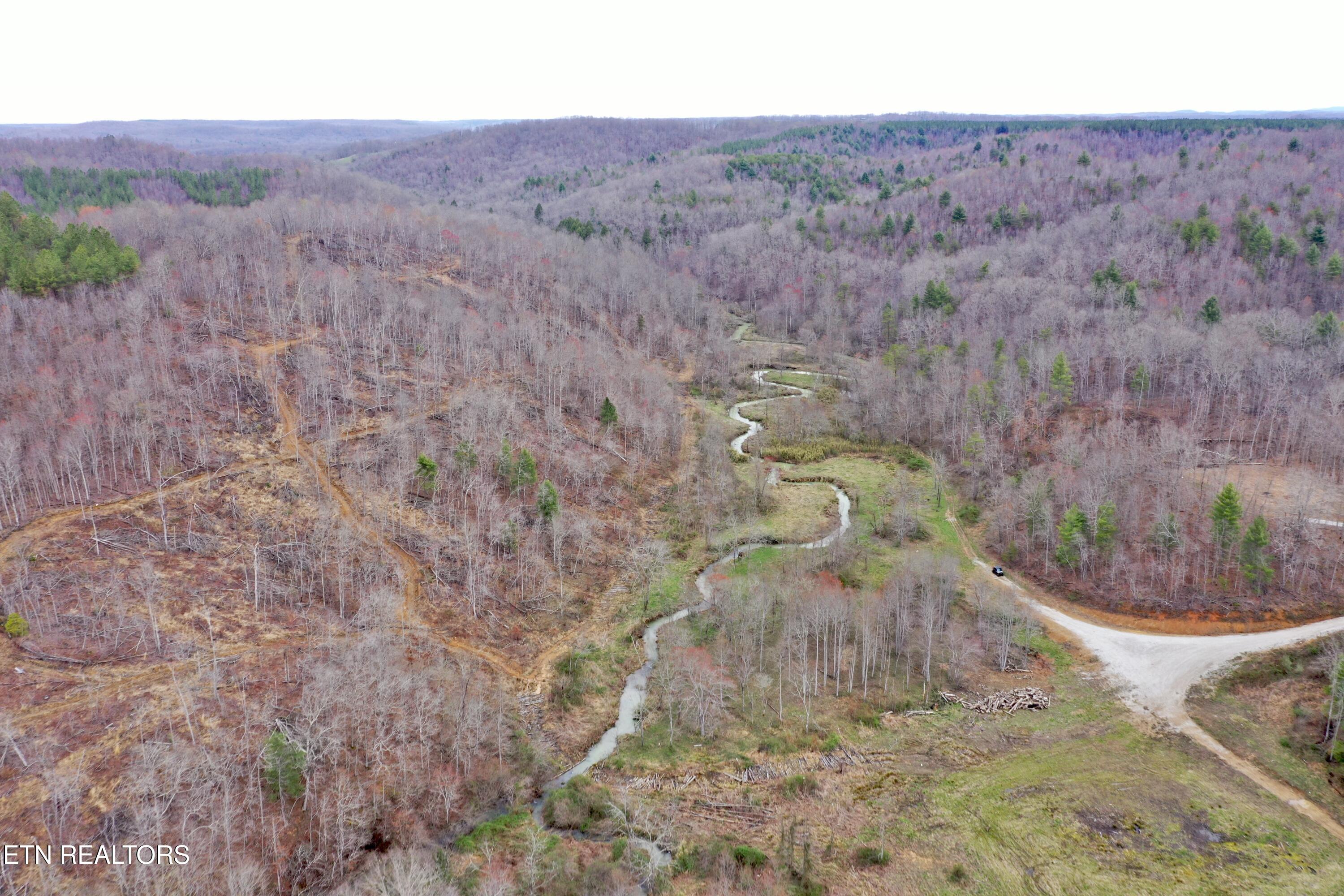 Skull Creek Road Robbins, TN 37852 - Photo 10 of 60 DJI_0434