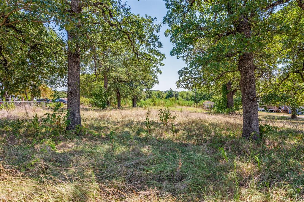 7329 Drury Cross Road Burleson, TX 76028 - Photo 8 of 13 View of local wilderness