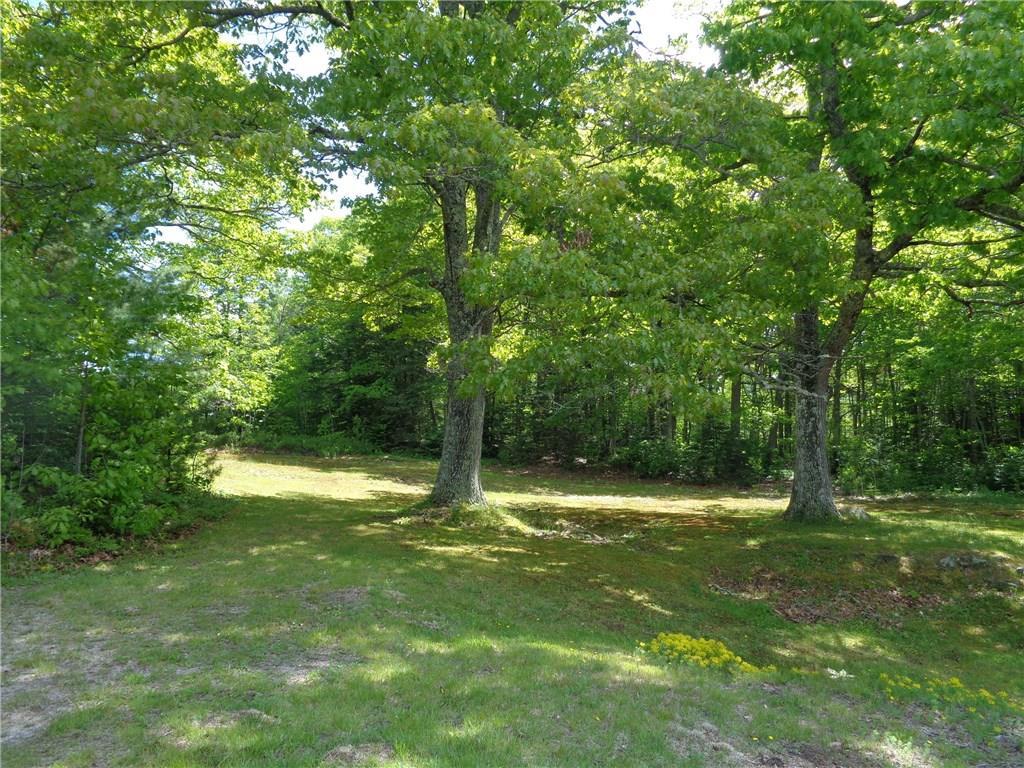69 East Side Road Steuben, ME 04680 - Photo 2 of 31 Many beautiful oak trees on property