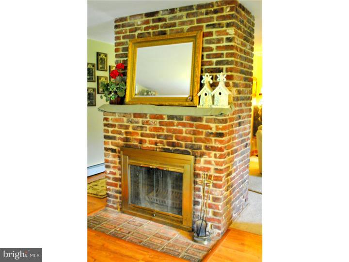 3845 Lehnenberg Road Riegelsville, PA 18077 - Photo 11 of 25 Fireplace