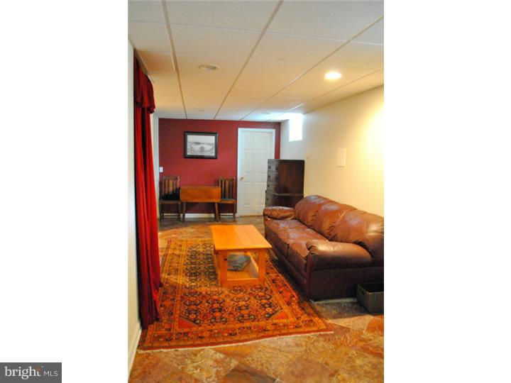 3845 Lehnenberg Road Riegelsville, PA 18077 - Photo 19 of 25 Basement - Finished