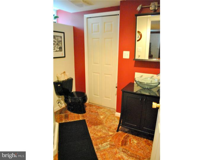 3845 Lehnenberg Road Riegelsville, PA 18077 - Photo 20 of 25 Basement