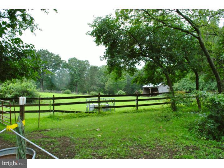 3845 Lehnenberg Road Riegelsville, PA 18077 - Photo 22 of 25 Back Yard