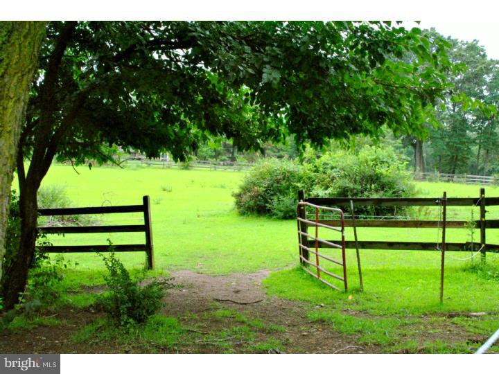 3845 Lehnenberg Road Riegelsville, PA 18077 - Photo 23 of 25 Back Yard