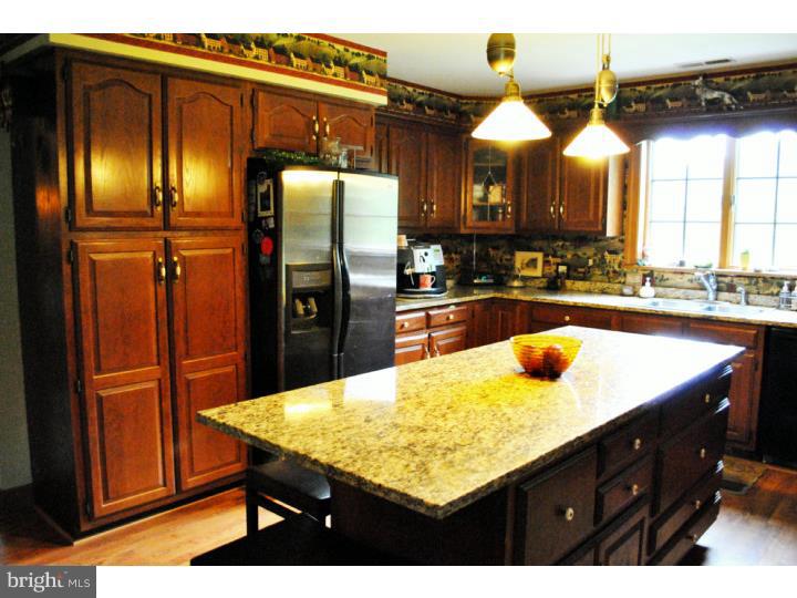 3845 Lehnenberg Road Riegelsville, PA 18077 - Photo 7 of 25 Kitchen