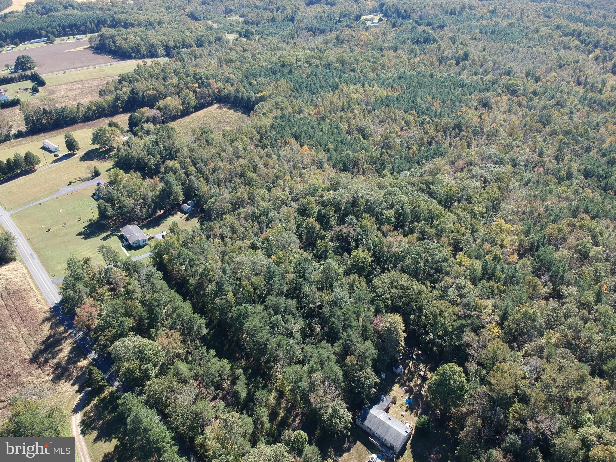 Lot 47 Chilton Road Montross, VA 22520 - Photo 4 of 11 Gallery Image 4