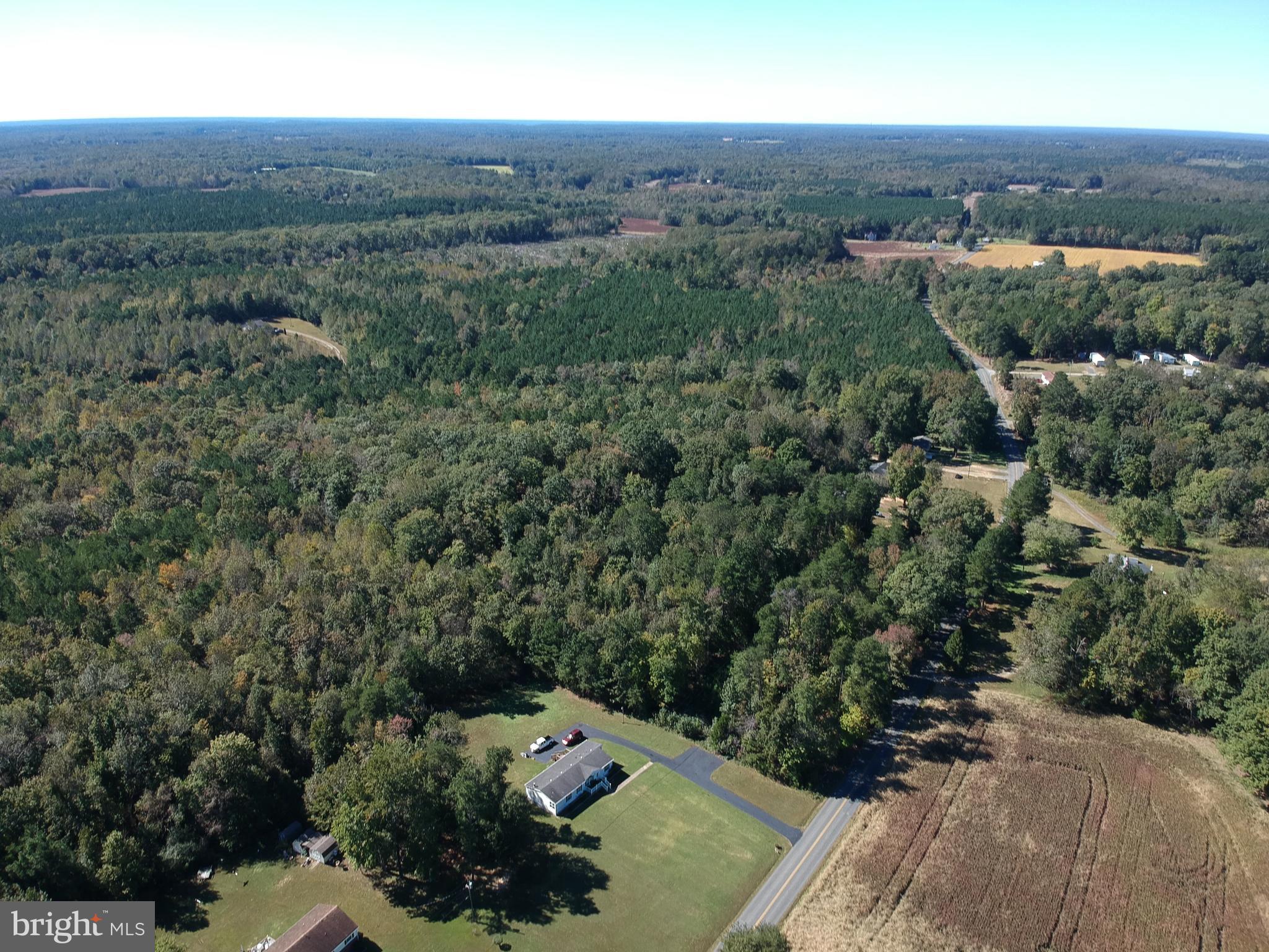 Lot 47 Chilton Road Montross, VA 22520 - Photo 6 of 11 Gallery Image 6