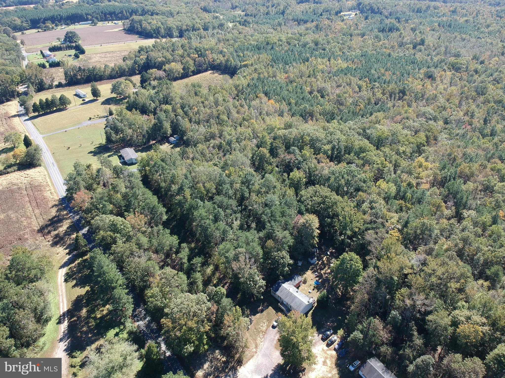 Lot 47 Chilton Road Montross, VA 22520 - Photo 9 of 11 Gallery Image 9