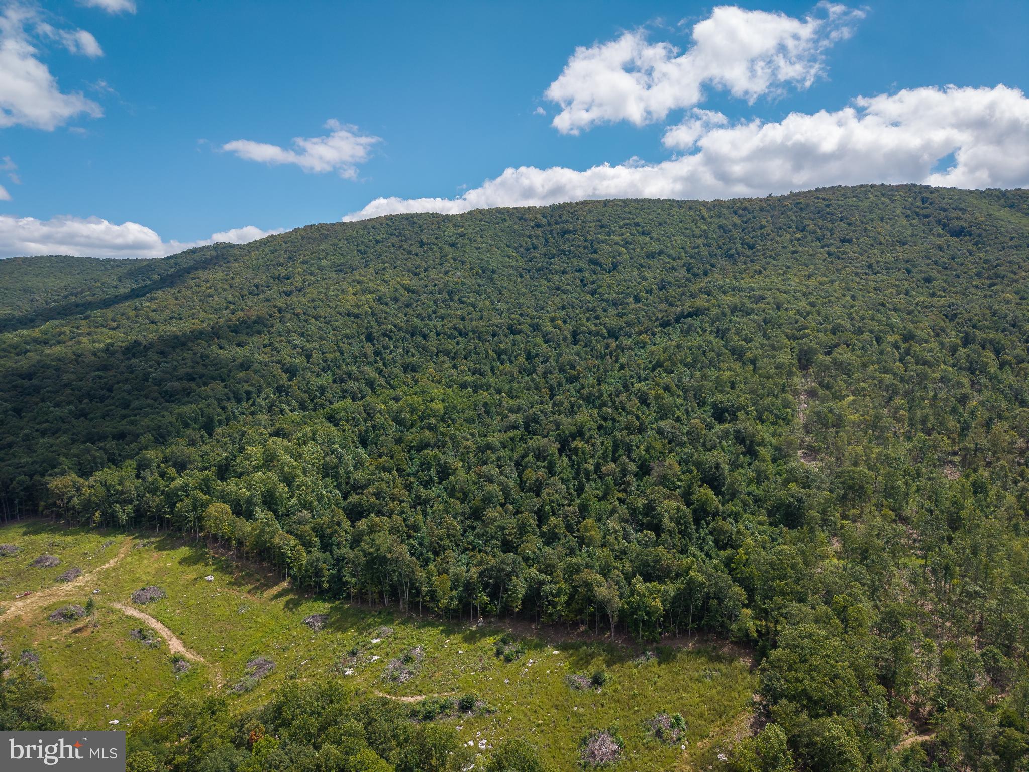 0 Back Valley Road Lindside, WV 24951 - Photo 2 of 18 a view of a big yard