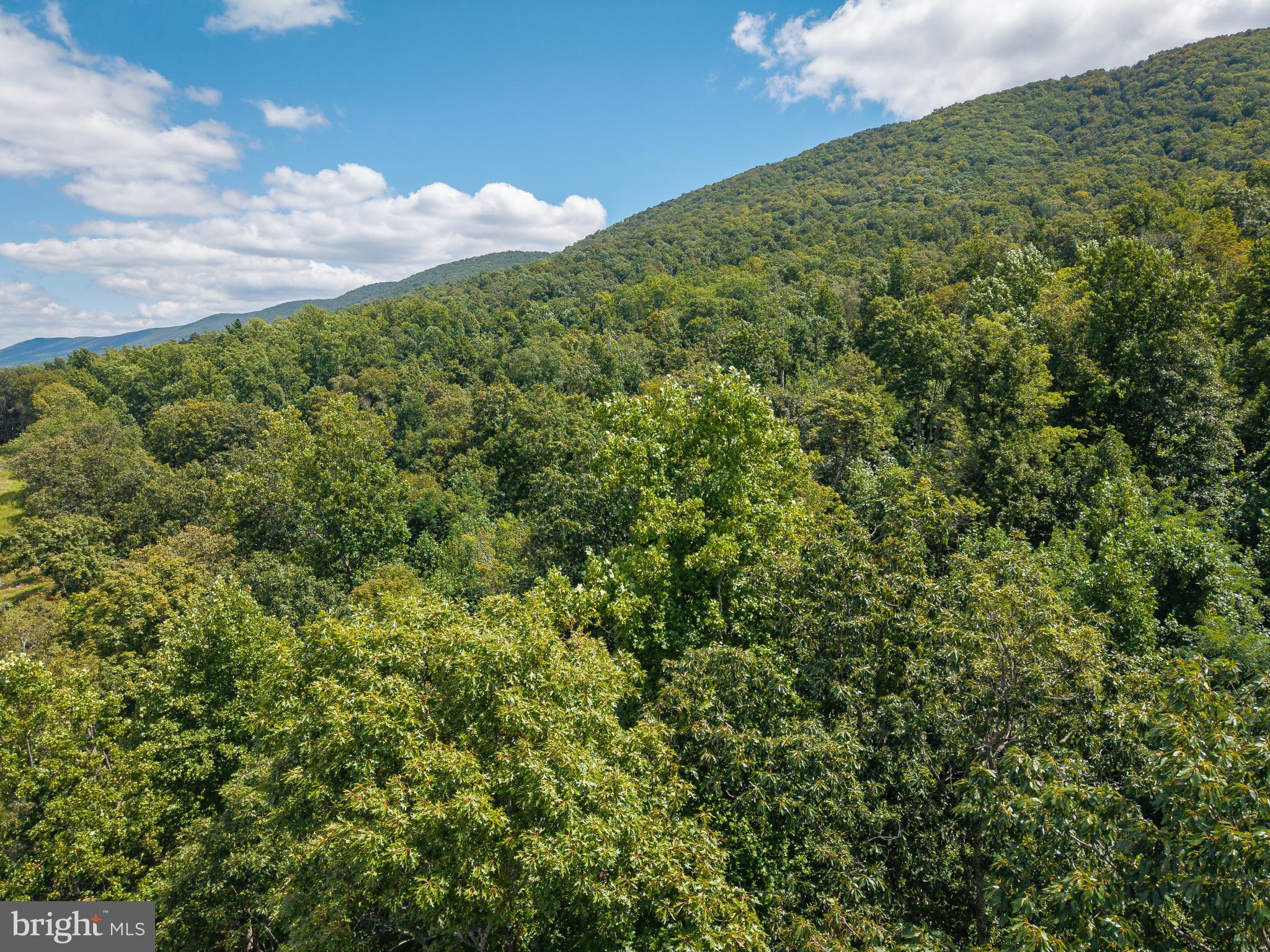 0 Back Valley Road Lindside, WV 24951 - Photo 5 of 18 a view of a large green field