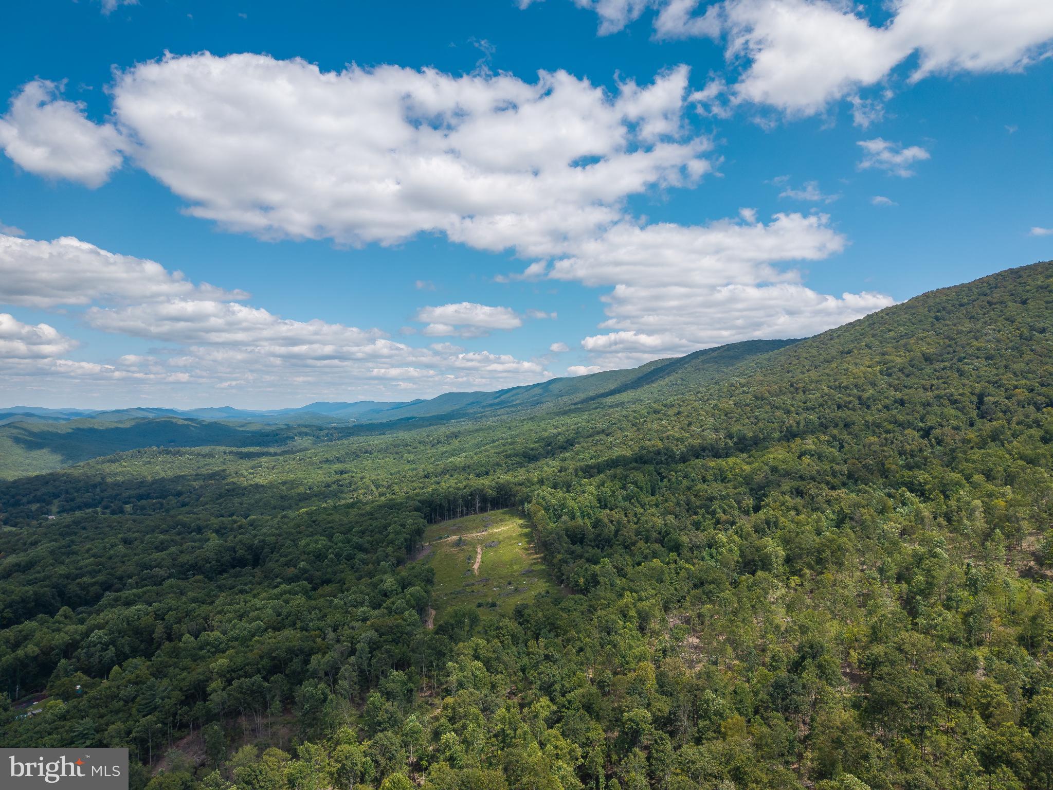 0 Back Valley Road Lindside, WV 24951 - Photo 10 of 18