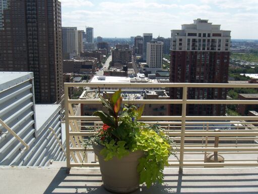 40 East 9th Street, Unit 1604 Chicago, IL 60605 - Photo 23 of 25 a view of a balcony with city view