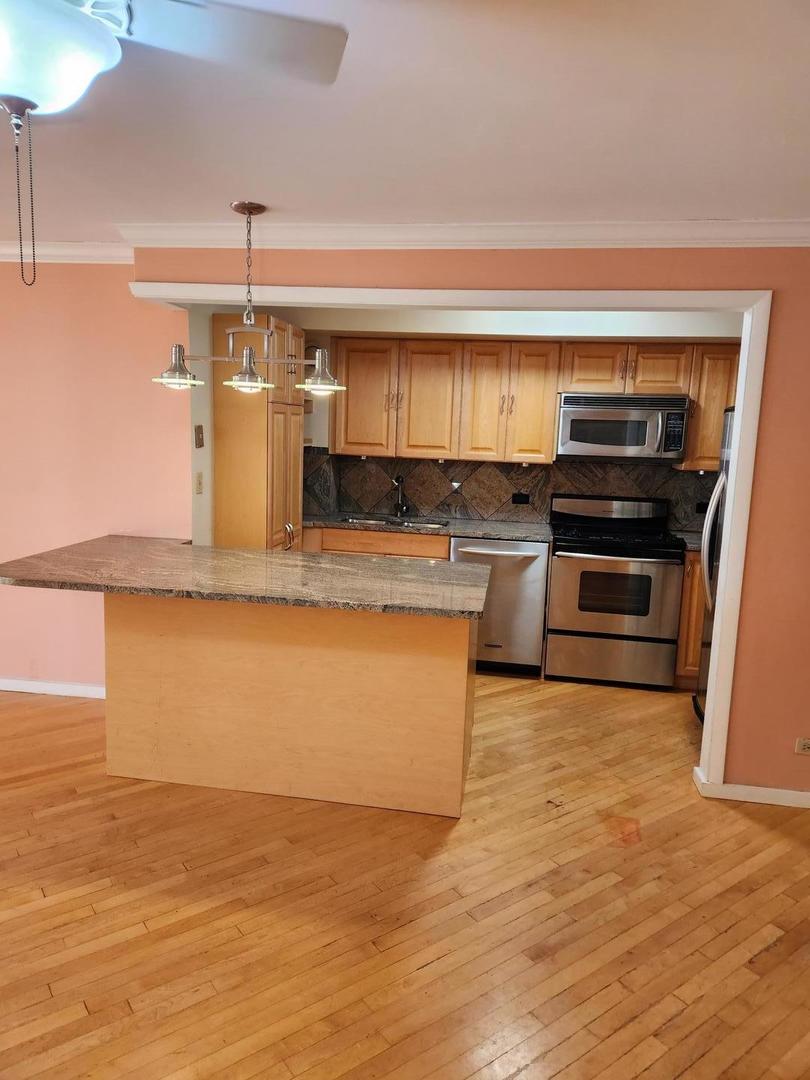 40 East 9th Street, Unit 1604 Chicago, IL 60605 - Photo 10 of 25 a kitchen with a stove and a microwave