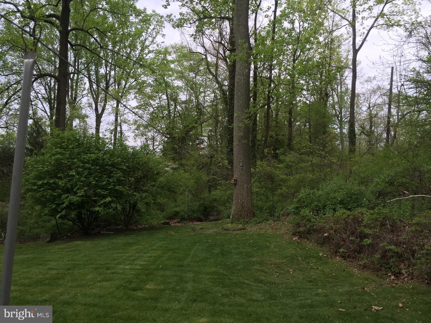 16 Walnut Road Newtown Square, PA 19073 - Photo 6 of 23 View in Back