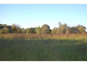 0 Old Shiloh Road, Unit 7 Greeneville, TN 37745 - Photo 3 of 4 Looking Right