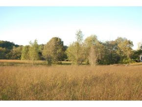 0 Old Shiloh Road, Unit 7 Greeneville, TN 37745 - Photo 4 of 4 Photo 4