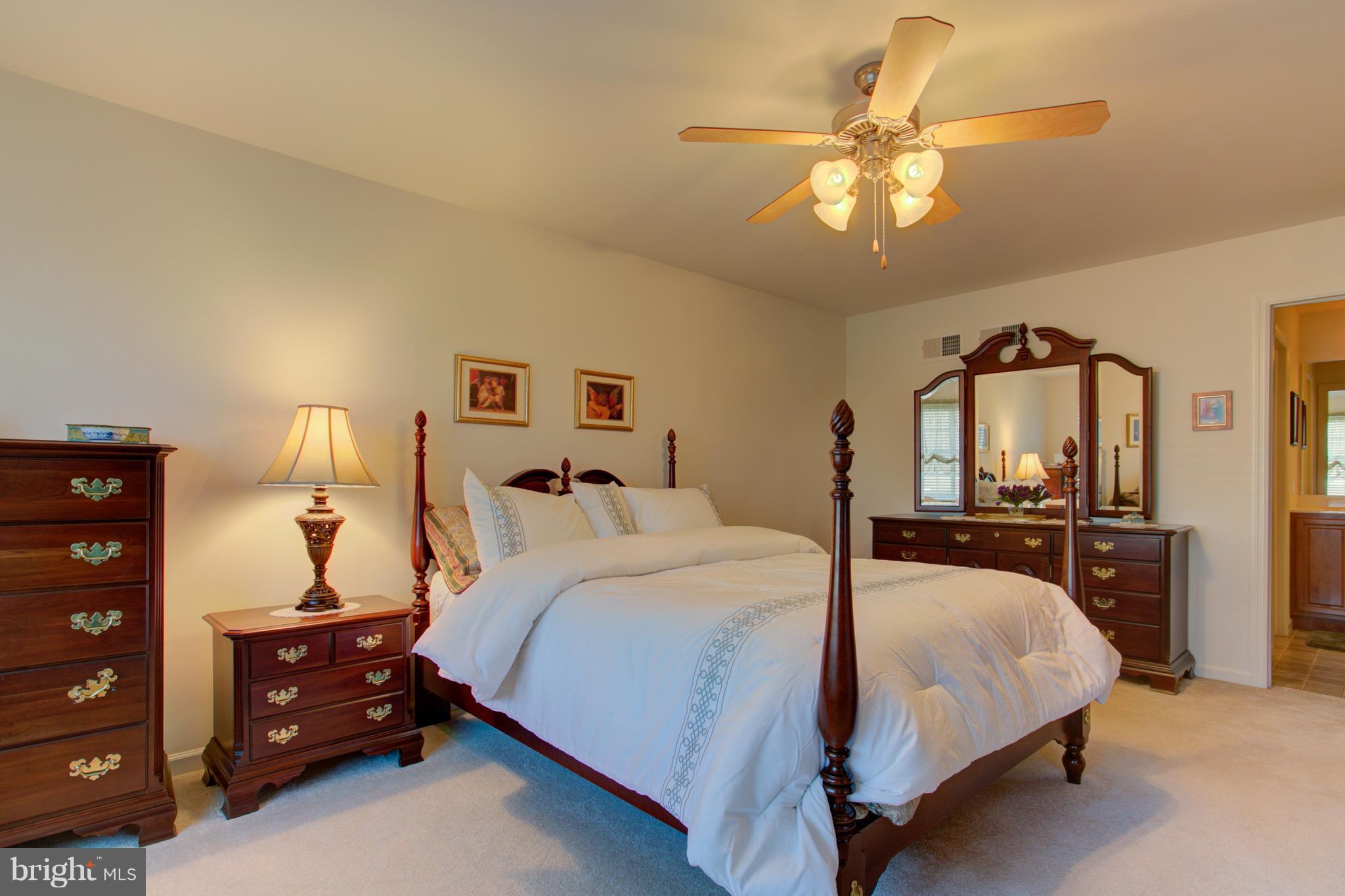131 Baneberry Lane Lititz, PA 17543 - Photo 17 of 26 a bedroom with a bed and a chandelier