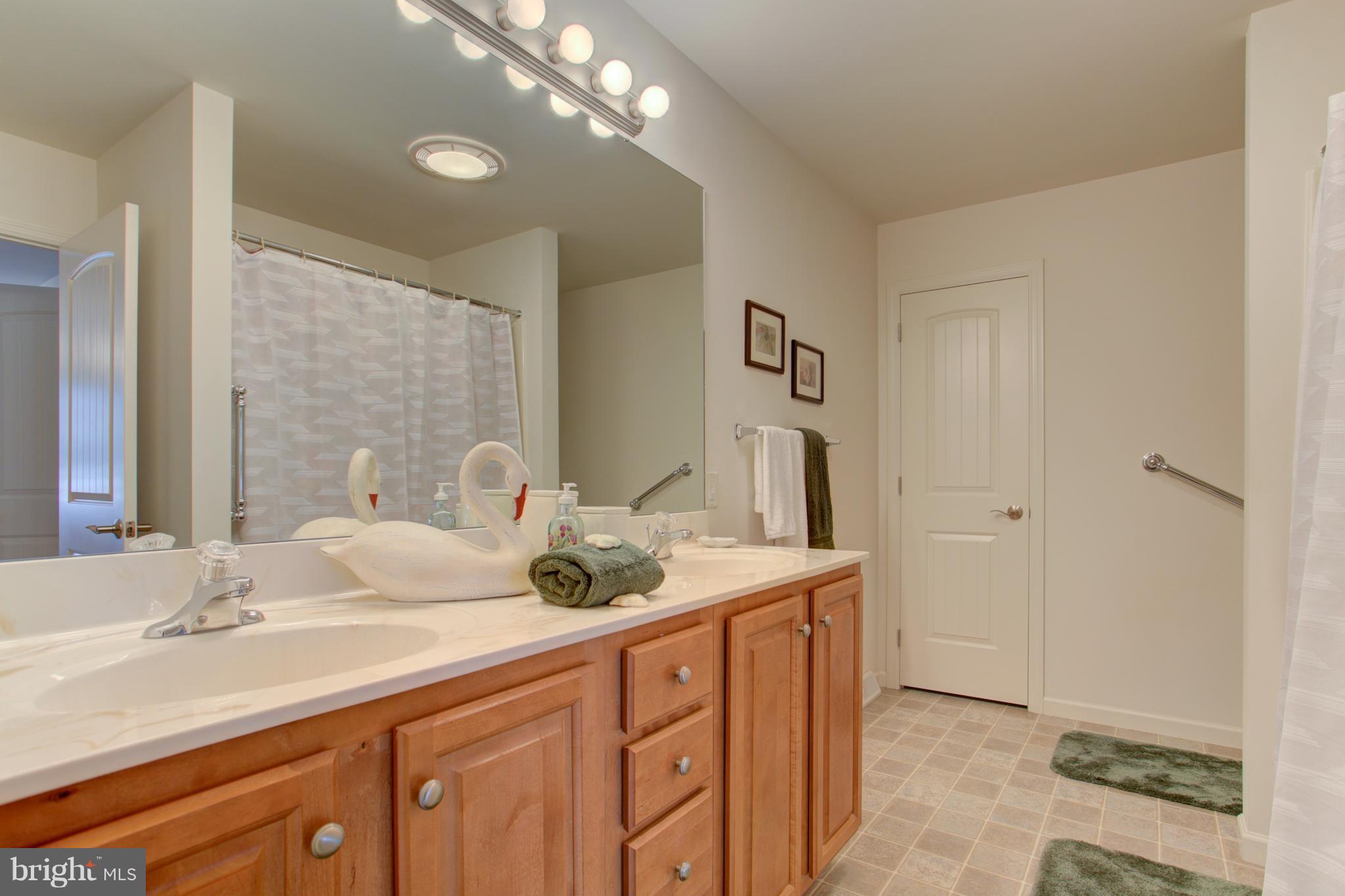 131 Baneberry Lane Lititz, PA 17543 - Photo 21 of 26 a bathroom with a double vanity sink and a mirror