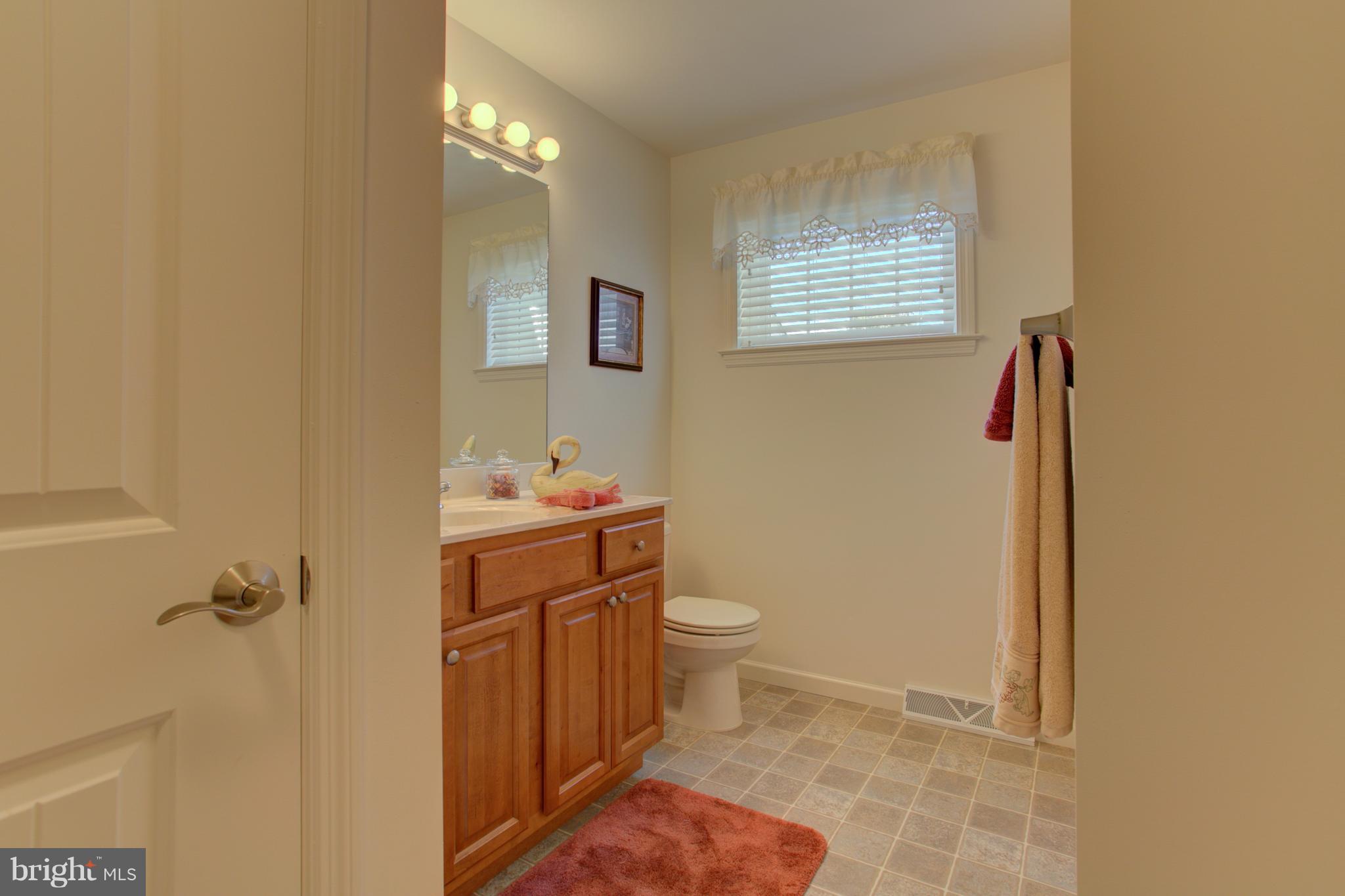 131 Baneberry Lane Lititz, PA 17543 - Photo 23 of 26 a bathroom with a sink a toilet and shower