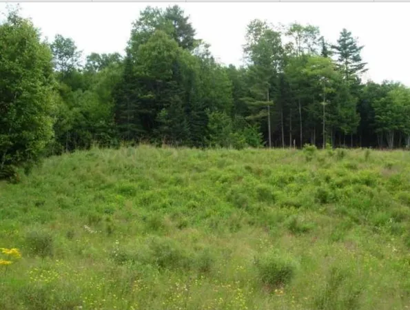 $84,900 | Lot 4 Catterall Road, Lisbon, NH 03585