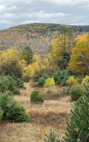 $84,900 | Lot 4 Catterall Road, Lisbon, NH 03585