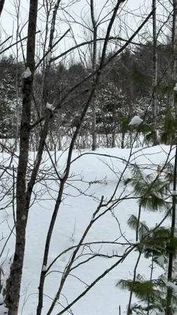 $84,900 | Lot 4 Catterall Road, Lisbon, NH 03585