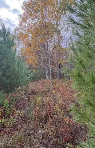 $84,900 | Lot 4 Catterall Road, Lisbon, NH 03585