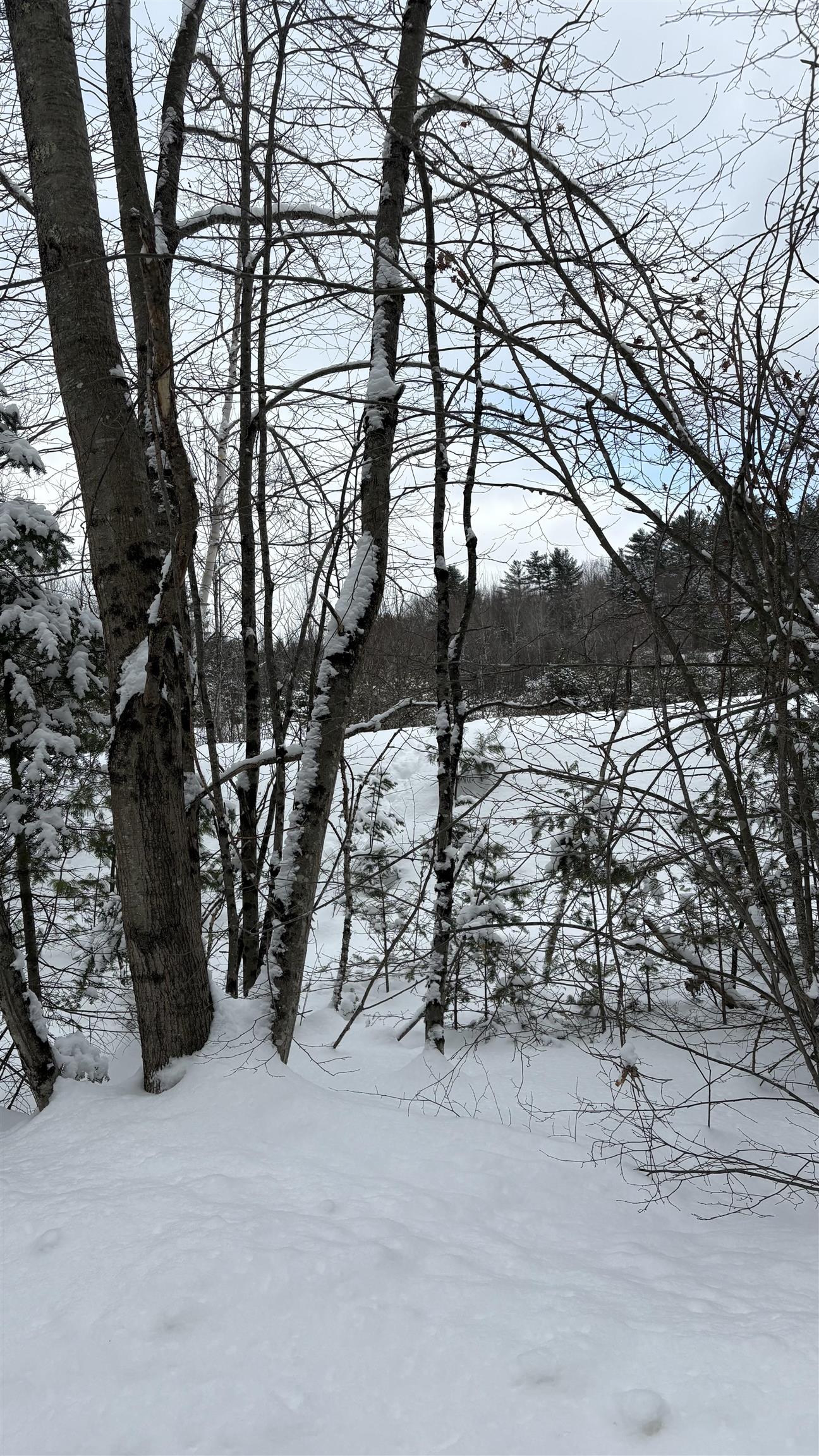 Lot 4 Catterall Road Lisbon, NH 03585 - Photo 5 of 12