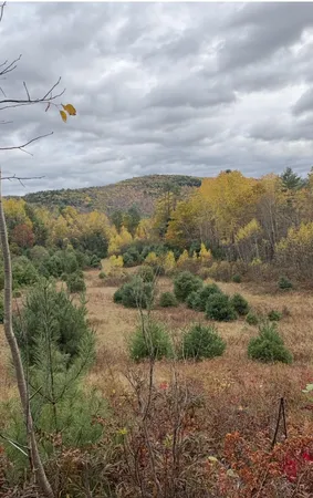 $84,900 | Lot 4 Catterall Road, Lisbon, NH 03585