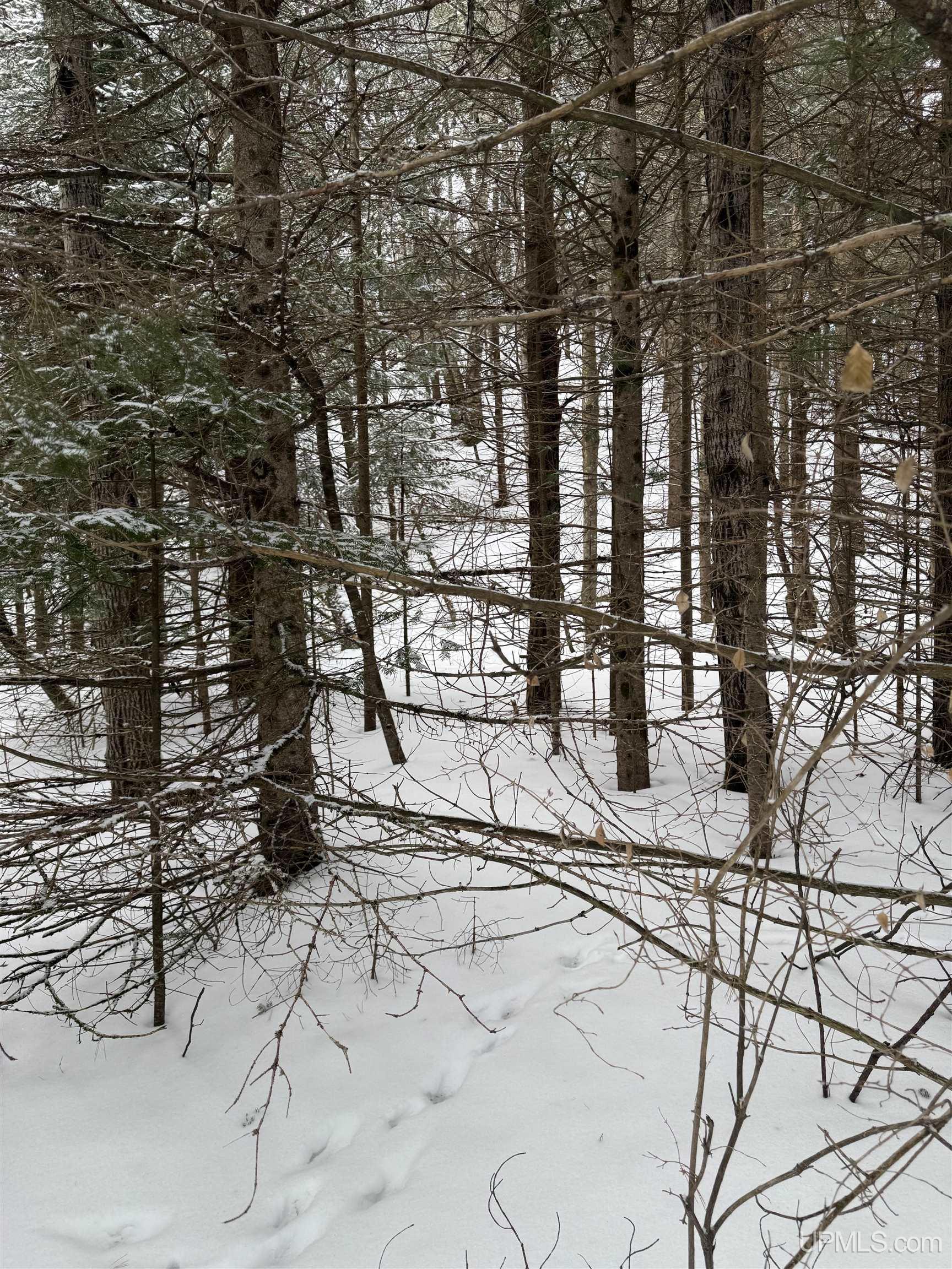 Tbd Tannery Road Manistique, MI 49854 - Photo 5 of 9
