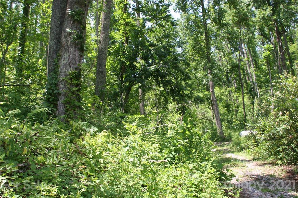 266 Azalea Hills Road Spruce Pine, NC 28777 - Photo 25 of 28 Gallery Image 25