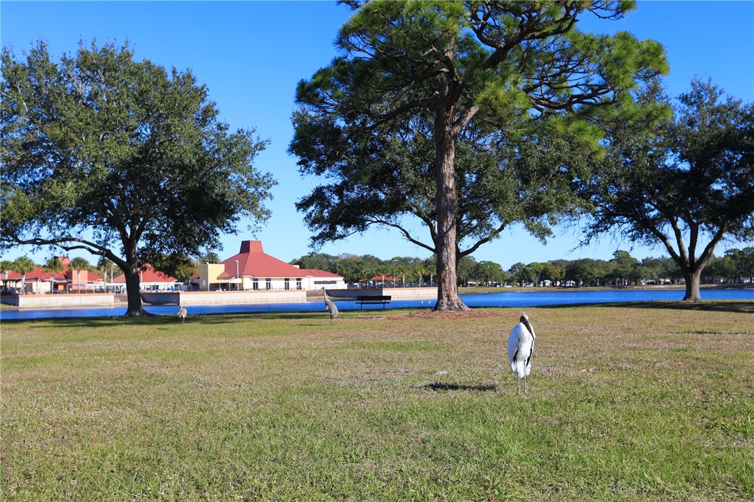 809 Oleander Circle Barefoot Bay, FL 32976 - Photo 19 of 29 a front view of a house with a yard and trees