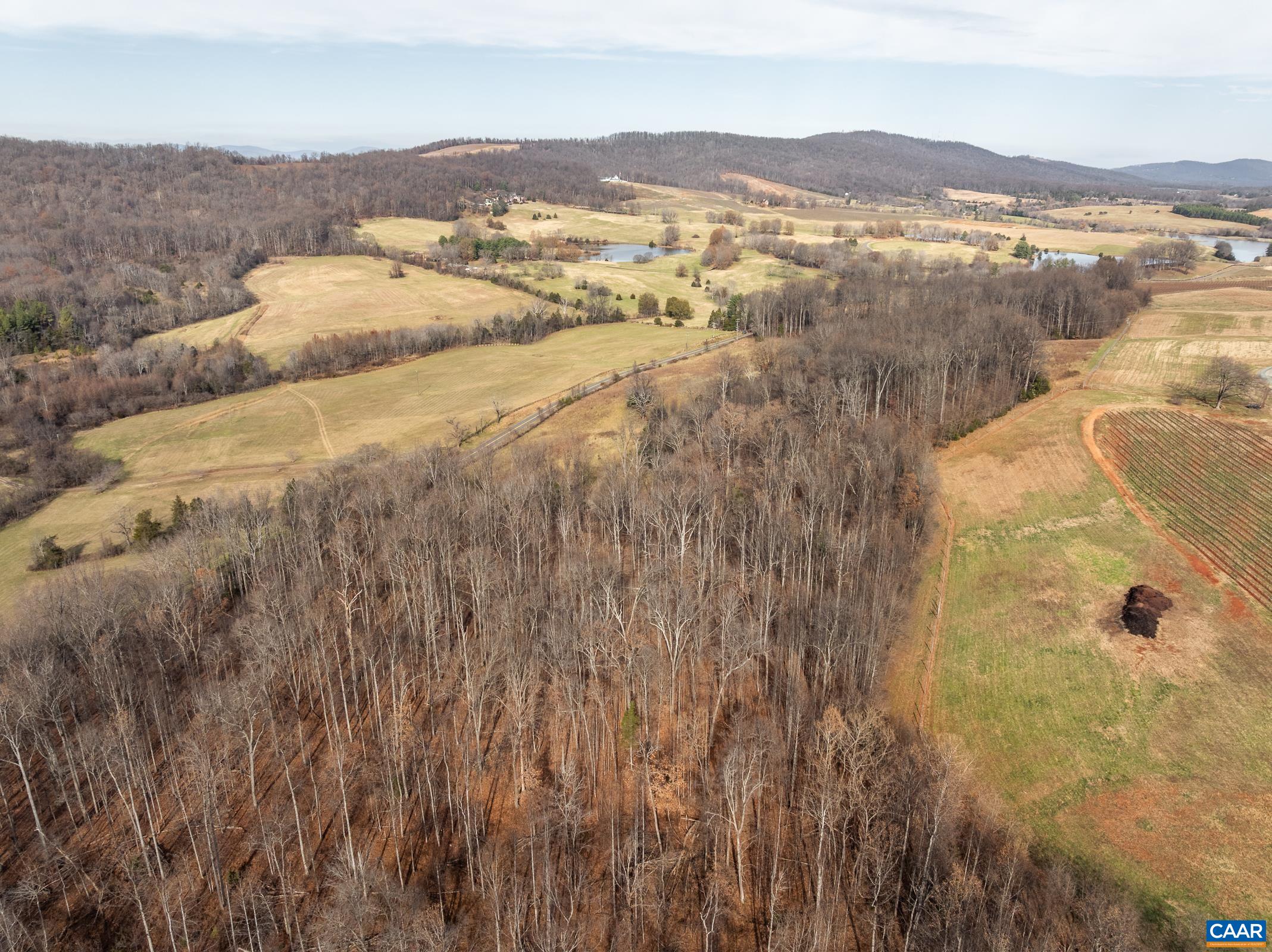 Tbd Carters Mountain Road Charlottesville, VA 22902 - Photo 7 of 12 Gallery Image 7