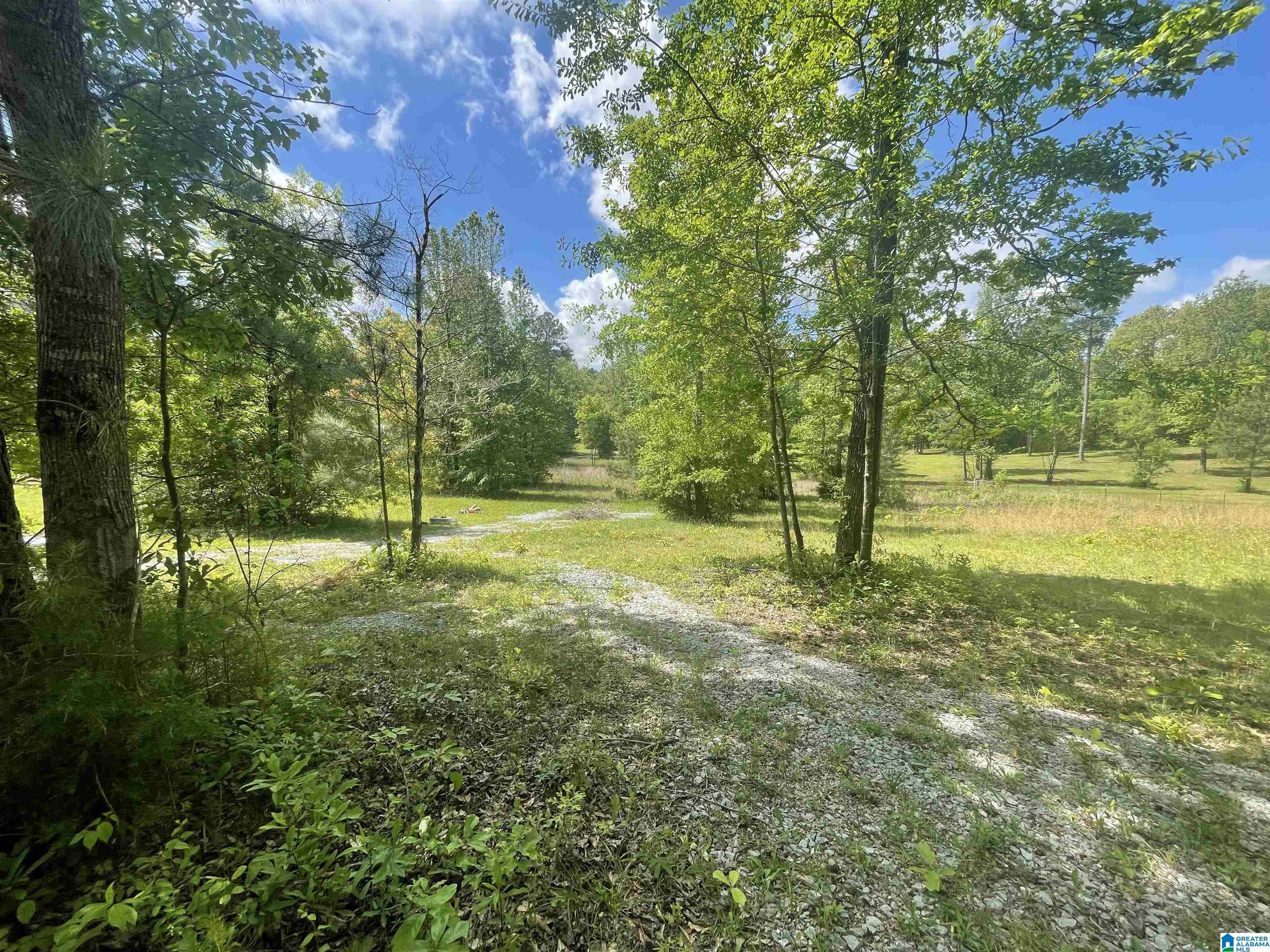 2021 Brookside Road, Unit 3 Mount Olive, AL 35117 - Photo 6 of 16