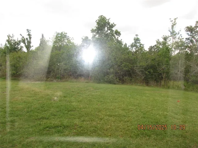 a view of yard with green space