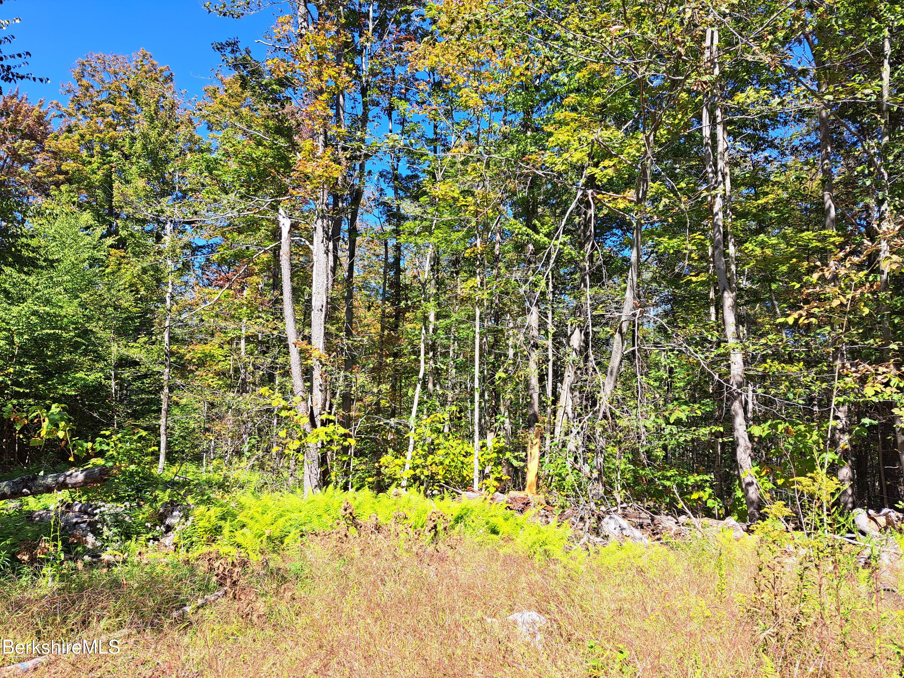 Lot ''b'' Beulah Land Road Blandford, MA 01008 - Photo 1 of 18 10-20250920_133627